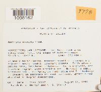 Image Associated With the Occurrence