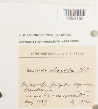 Image Associated With the Occurrence