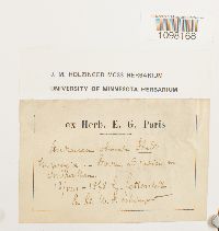 Image Associated With the Occurrence