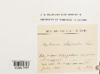 Image Associated With the Occurrence