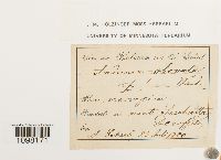 Image Associated With the Occurrence