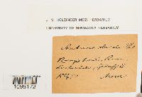 Image Associated With the Occurrence