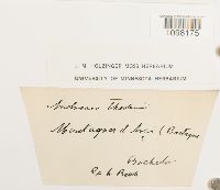 Image Associated With the Occurrence