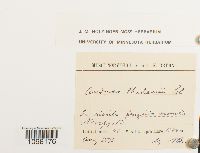 Image Associated With the Occurrence