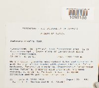 Image Associated With the Occurrence