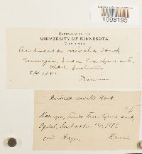 Image Associated With the Occurrence