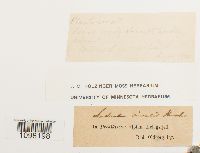 Image Associated With the Occurrence