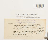 Image Associated With the Occurrence