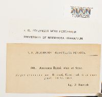 Andreaea rothii image