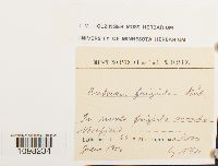 Image Associated With the Occurrence