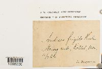 Image Associated With the Occurrence