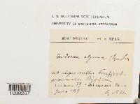 Image Associated With the Occurrence