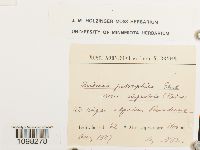 Image Associated With the Occurrence