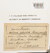 Image Associated With the Occurrence