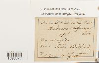 Image Associated With the Occurrence