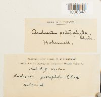 Image Associated With the Occurrence