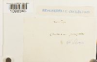 Image Associated With the Occurrence