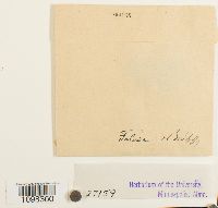 Image Associated With the Occurrence