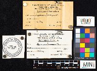 Agaricus placomyces image