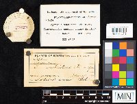 Image Associated With the Occurrence