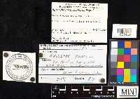 Image Associated With the Occurrence