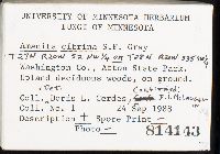 Amanita phalloides image