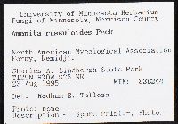 Amanita russuloides image
