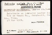 Antrodia malicola image