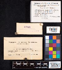 Image Associated With the Occurrence