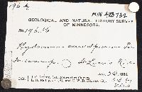 Auriscalpium vulgare image