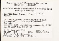 Bjerkandera fumosa image