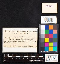 Image Associated With the Occurrence