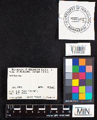 Image Associated With the Occurrence