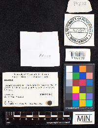 Image Associated With the Occurrence