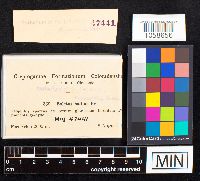 Image Associated With the Occurrence