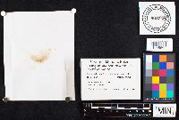 Image Associated With the Occurrence