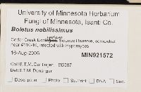 Boletus nobilissimus image