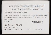 thumbnail image of current specimen