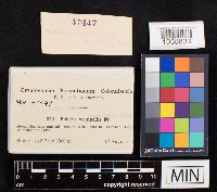 Image Associated With the Occurrence