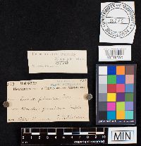 Image Associated With the Occurrence