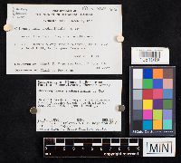 Media resource of Chionosphaera apobasidialis