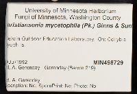 Syzygospora mycetophila image