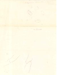 Clavaria fragilis image