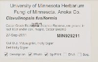 thumbnail image of current specimen