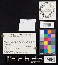 Image Associated With the Occurrence