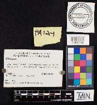 Image Associated With the Occurrence