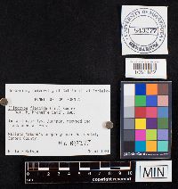 Image Associated With the Occurrence