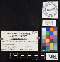 Image Associated With the Occurrence