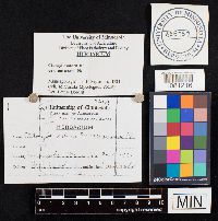 Image Associated With the Occurrence