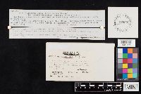 Image Associated With the Occurrence